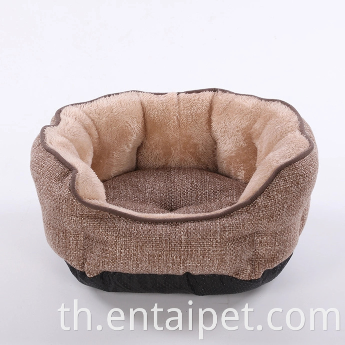 China Warm Water Pet Pet Pet Pet Pet Pet พร้อมที่นอน